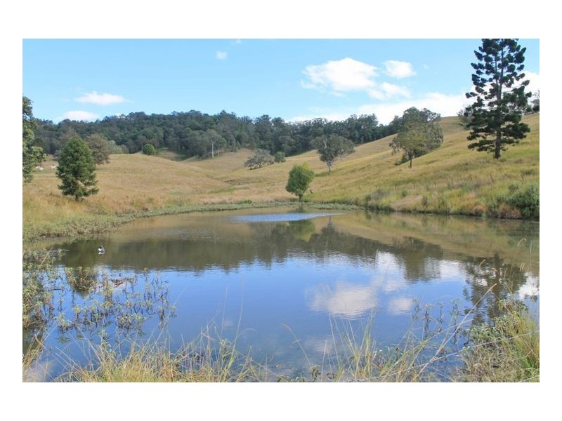 LOT 31 Collins Creek Road – Collins Creek, Kyogle NSW 2474