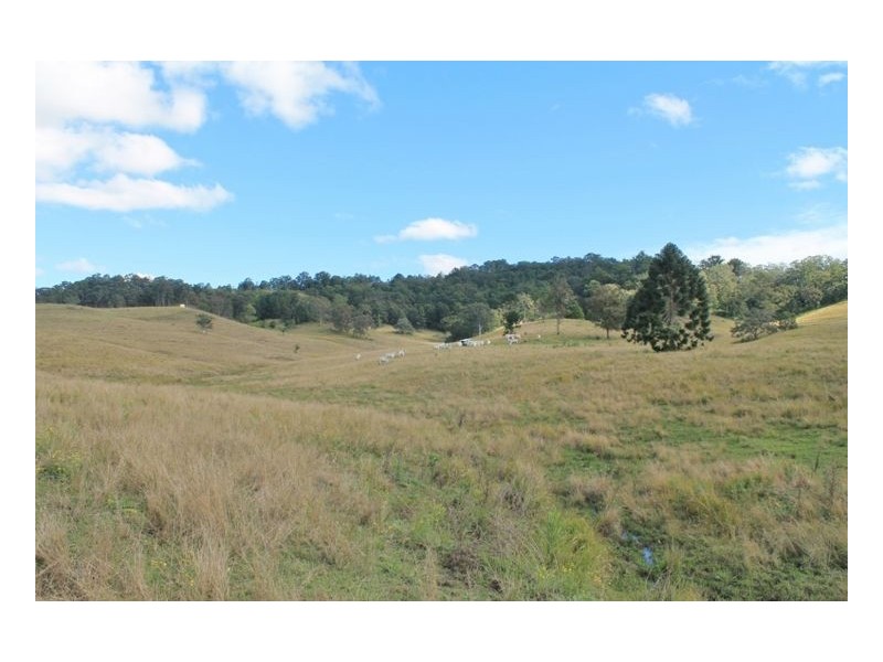 LOT 31 Collins Creek Road – Collins Creek, Kyogle NSW 2474