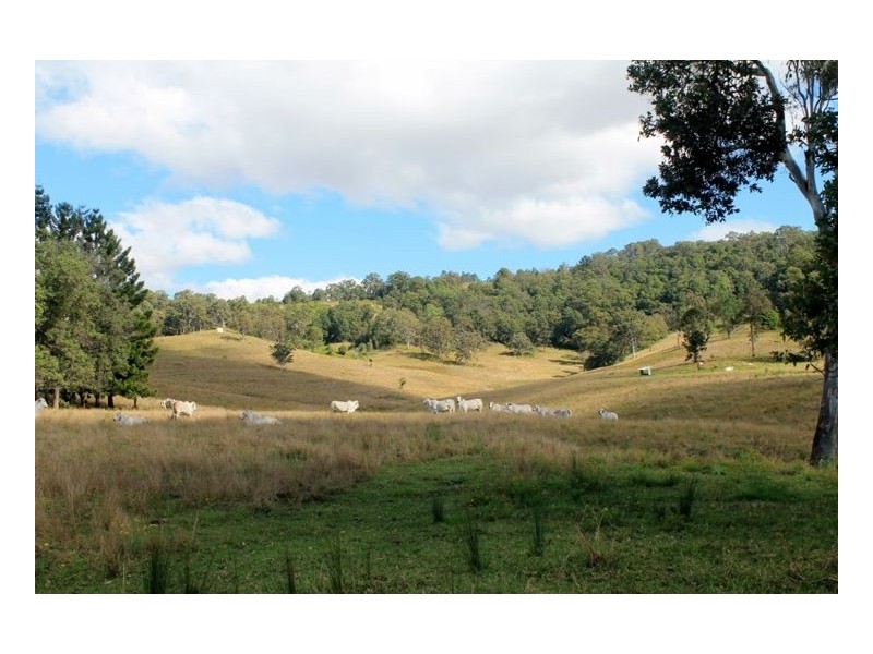 LOT 31 Collins Creek Road – Collins Creek, Kyogle NSW 2474