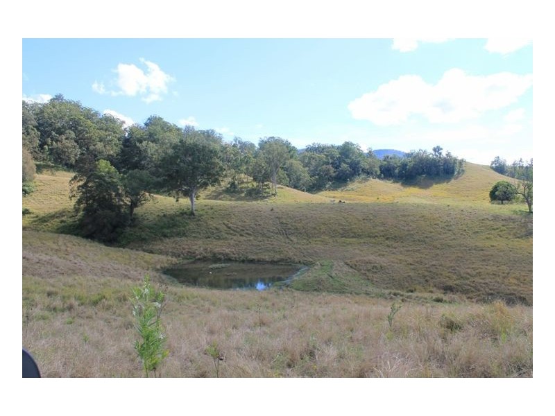 LOT 31 Collins Creek Road – Collins Creek, Kyogle NSW 2474