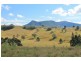 LOT 31 Collins Creek Road – Collins Creek, Kyogle NSW 2474