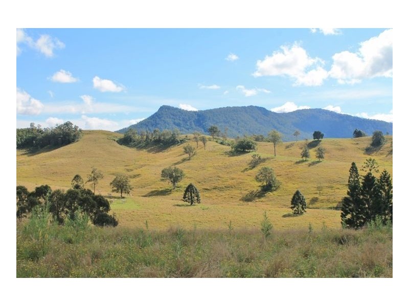 LOT 31 Collins Creek Road – Collins Creek, Kyogle NSW 2474