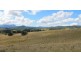 LOT 31 Collins Creek Road – Collins Creek, Kyogle NSW 2474