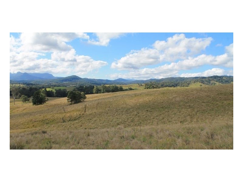 LOT 31 Collins Creek Road – Collins Creek, Kyogle NSW 2474