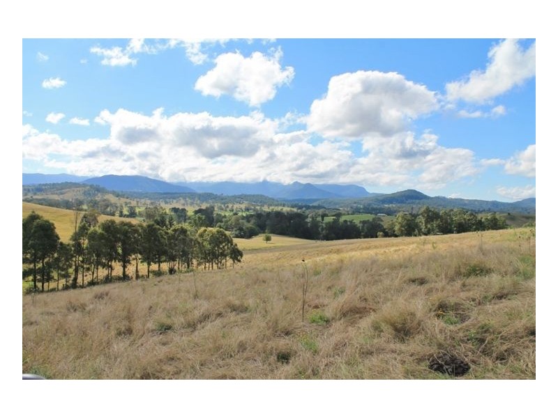 LOT 31 Collins Creek Road – Collins Creek, Kyogle NSW 2474