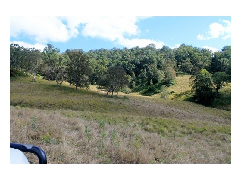 LOT 31 Collins Creek Road – Collins Creek, Kyogle NSW 2474