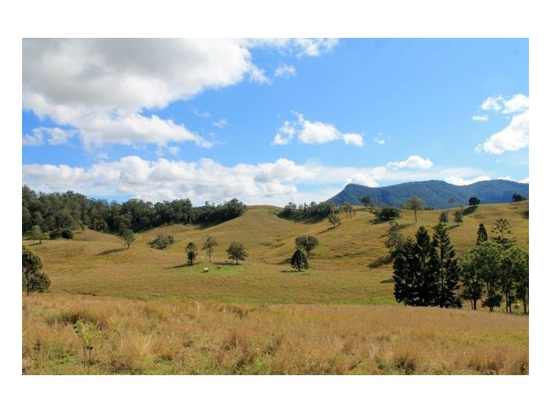 LOT 31 Collins Creek Road – Collins Creek, Kyogle NSW 2474