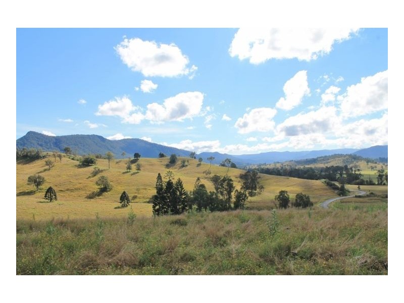 LOT 31 Collins Creek Road – Collins Creek, Kyogle NSW 2474
