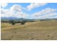 LOT 31 Collins Creek Road – Collins Creek, Kyogle NSW 2474