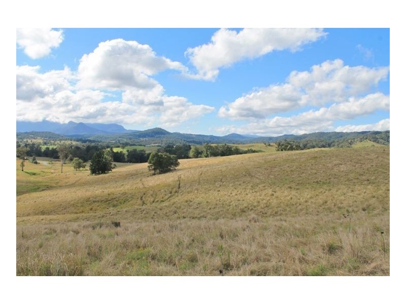 LOT 31 Collins Creek Road – Collins Creek, Kyogle NSW 2474