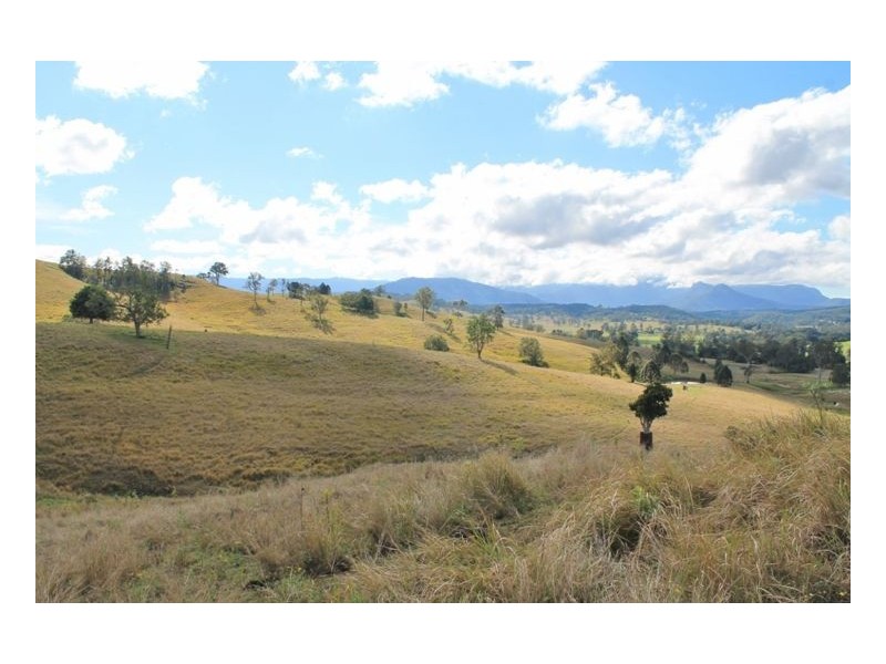 LOT 31 Collins Creek Road – Collins Creek, Kyogle NSW 2474