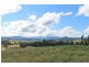 LOT 31 Collins Creek Road – Collins Creek, Kyogle NSW 2474