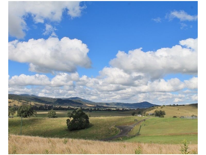 LOT 31 Collins Creek Road – Collins Creek, Kyogle NSW 2474