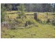 2859 Afterlee Road – Toonumbar, Kyogle NSW 2474