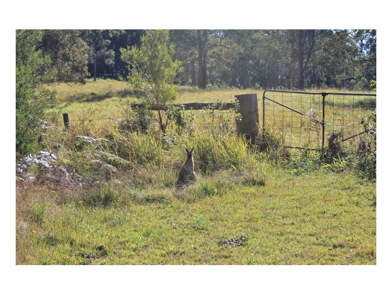 2859 Afterlee Road – Toonumbar, Kyogle NSW 2474