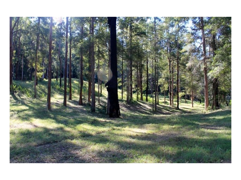Lot 30 Dam Access Road – Toonumbar, Kyogle NSW 2474