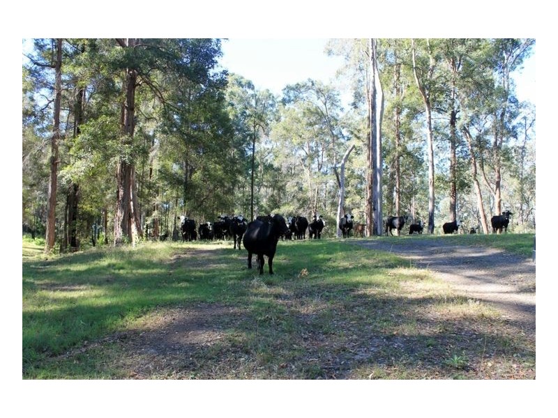 Lot 30 Dam Access Road – Toonumbar, Kyogle NSW 2474