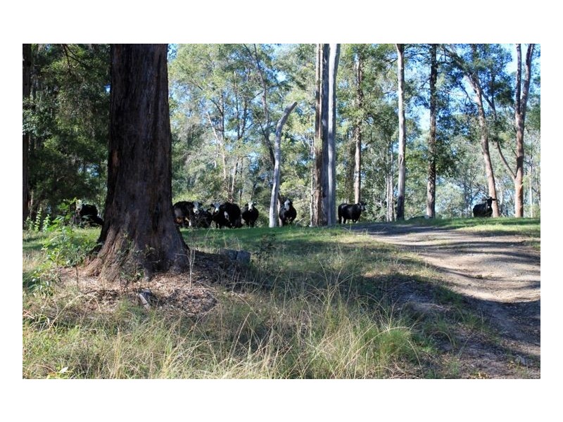 Lot 30 Dam Access Road – Toonumbar, Kyogle NSW 2474