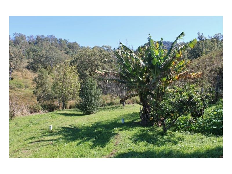 1081 Collins Creek Road – Collins Creek, Kyogle NSW 2474