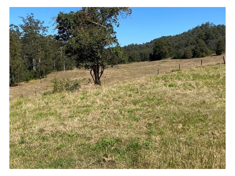 Lot 1 Afterlee Road – Afterlee, Kyogle NSW 2474