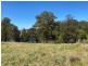 Lot 1 Afterlee Road – Afterlee, Kyogle NSW 2474