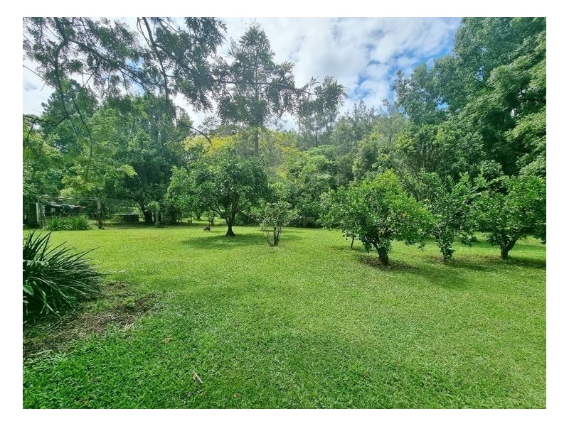 23 Hayes Road, Upper Horseshoe Creek, Kyogle NSW 2474