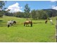 23 Hayes Road, Upper Horseshoe Creek, Kyogle NSW 2474