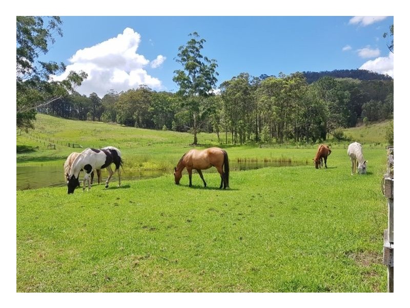 23 Hayes Road, Upper Horseshoe Creek, Kyogle NSW 2474