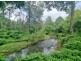 23 Hayes Road, Upper Horseshoe Creek, Kyogle NSW 2474