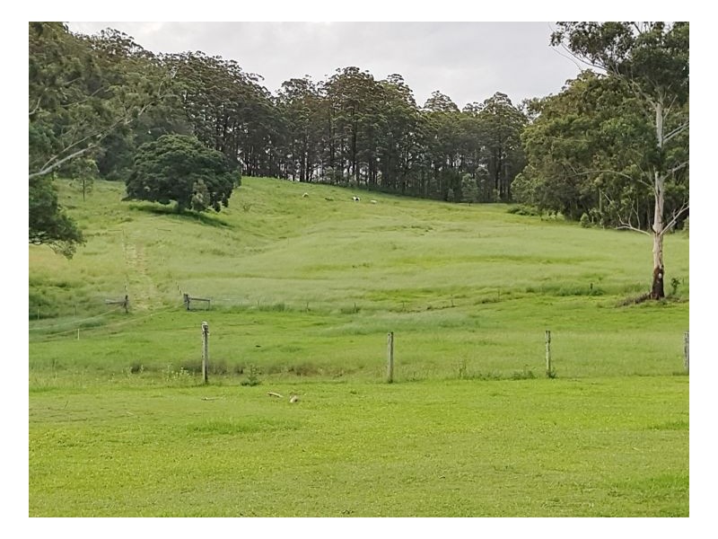 23 Hayes Road, Upper Horseshoe Creek, Kyogle NSW 2474