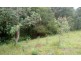23 Hayes Road, Upper Horseshoe Creek, Kyogle NSW 2474