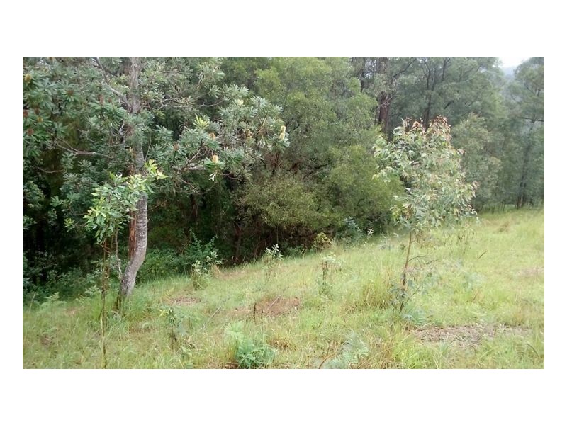 23 Hayes Road, Upper Horseshoe Creek, Kyogle NSW 2474