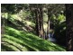 741 Fawcetts Plain Road, Kyogle NSW 2474
