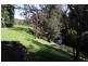 741 Fawcetts Plain Road, Kyogle NSW 2474