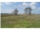 110 Baraimal Lane, Kyogle NSW 2474