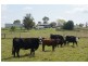 110 Baraimal Lane, Kyogle NSW 2474