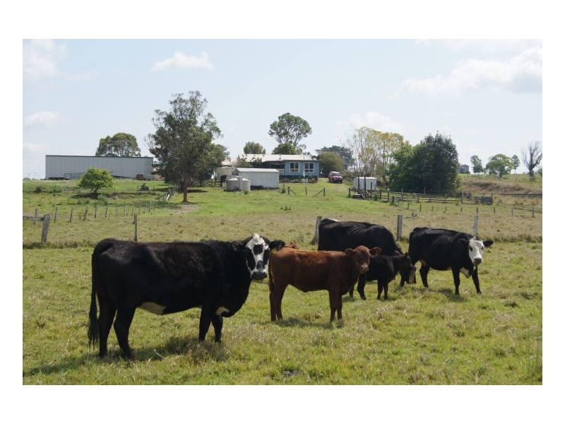 110 Baraimal Lane, Kyogle NSW 2474