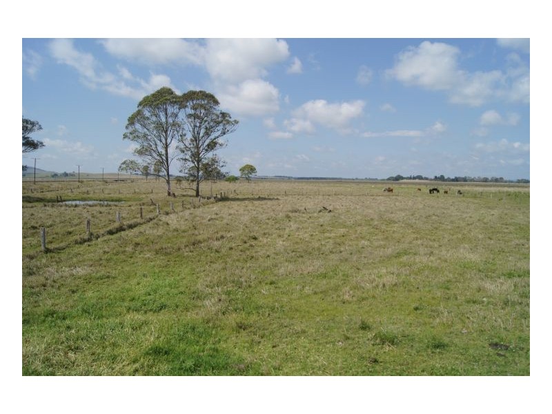 110 Baraimal Lane, Kyogle NSW 2474