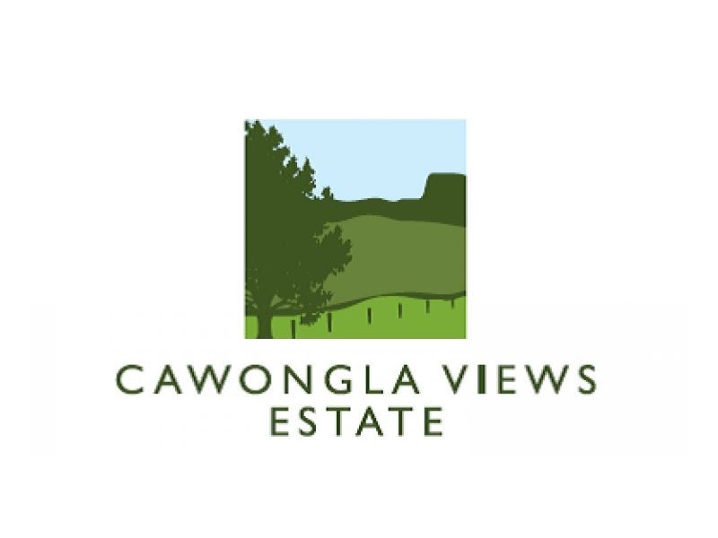 Lot 4 Cawongla Views Estate, Kyogle NSW 2474