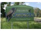 Lot 4 Cawongla Views Estate, Kyogle NSW 2474