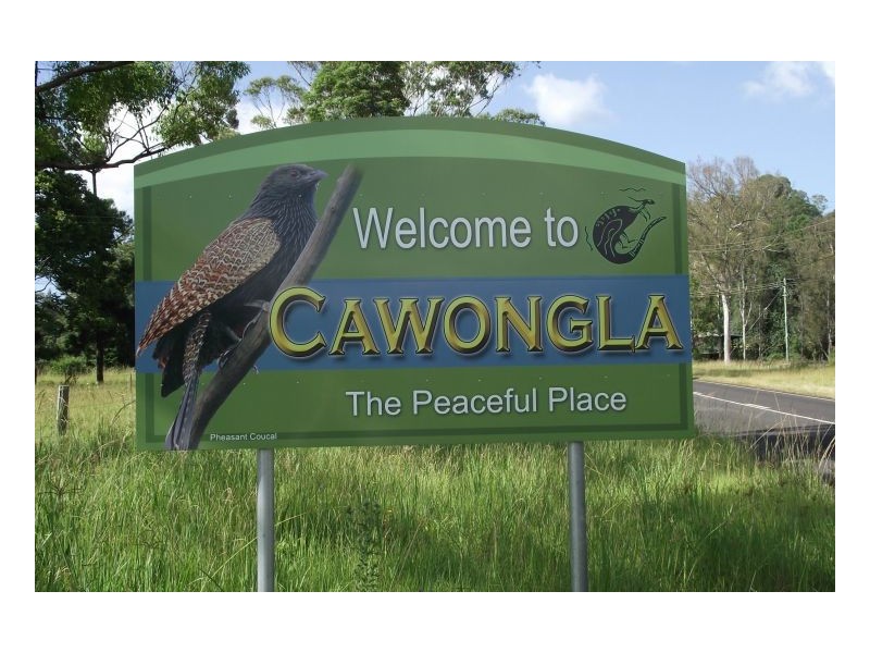 Lot 4 Cawongla Views Estate, Kyogle NSW 2474