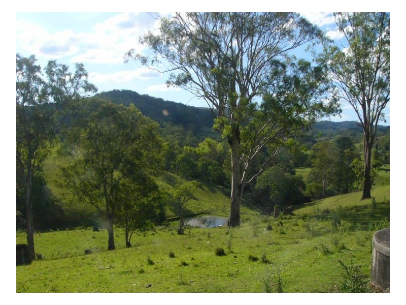 781 Upper Eden Creek Road, Kyogle NSW 2474