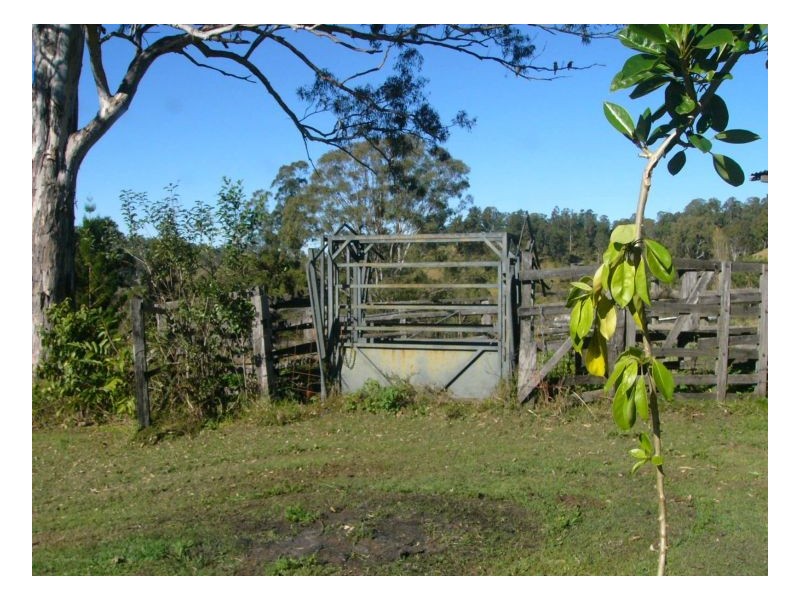 781 Upper Eden Creek Road, Kyogle NSW 2474