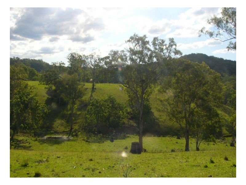 781 Upper Eden Creek Road, Kyogle NSW 2474