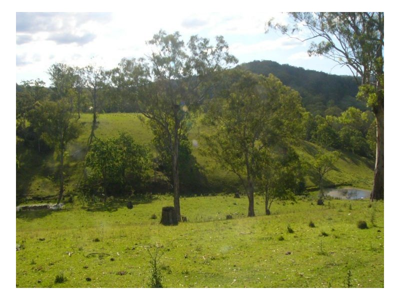 781 Upper Eden Creek Road, Kyogle NSW 2474