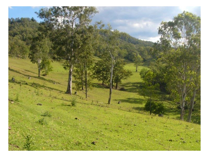 781 Upper Eden Creek Road, Kyogle NSW 2474