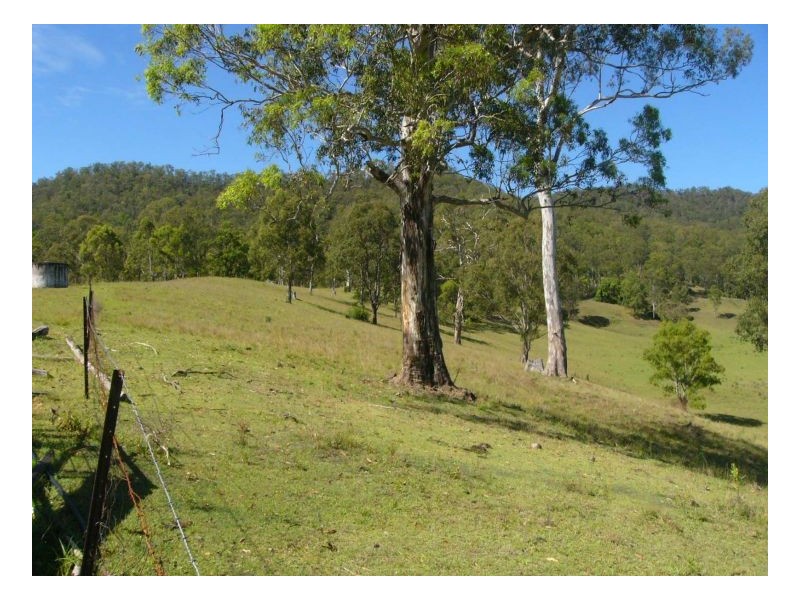 781 Upper Eden Creek Road, Kyogle NSW 2474