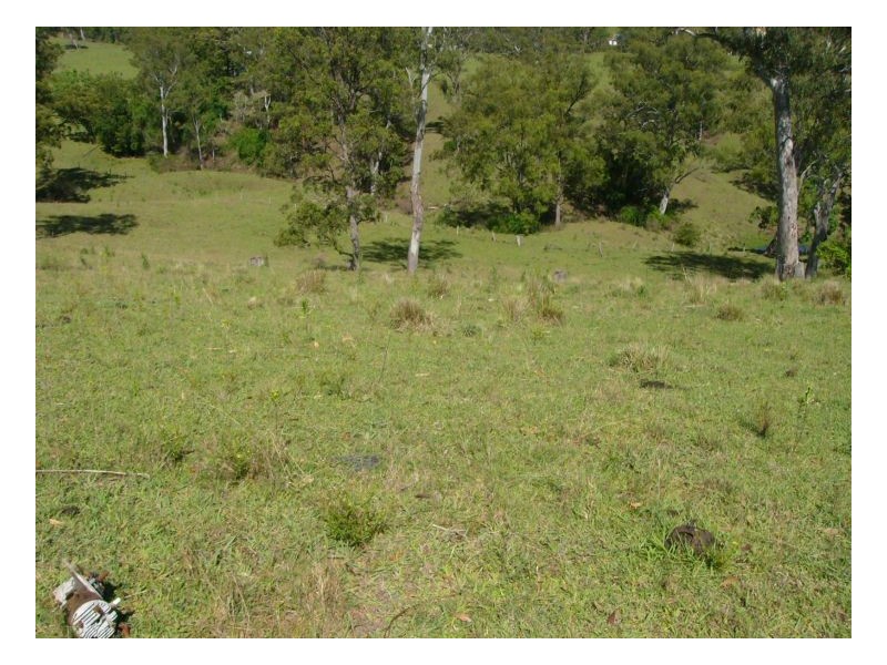 781 Upper Eden Creek Road, Kyogle NSW 2474