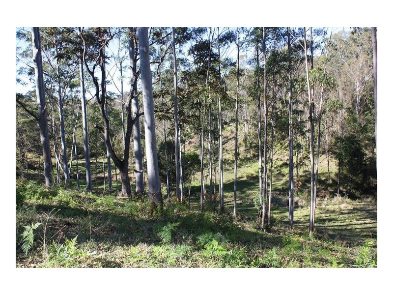 Kyogle NSW 2474
