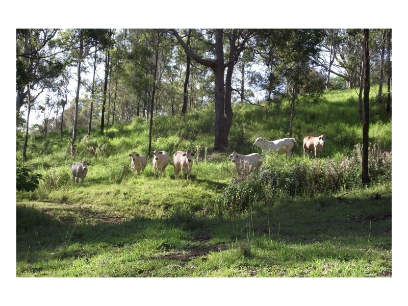 Kyogle NSW 2474